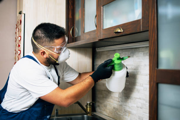 Best Wasp Removal Services  in Nahunta, GA