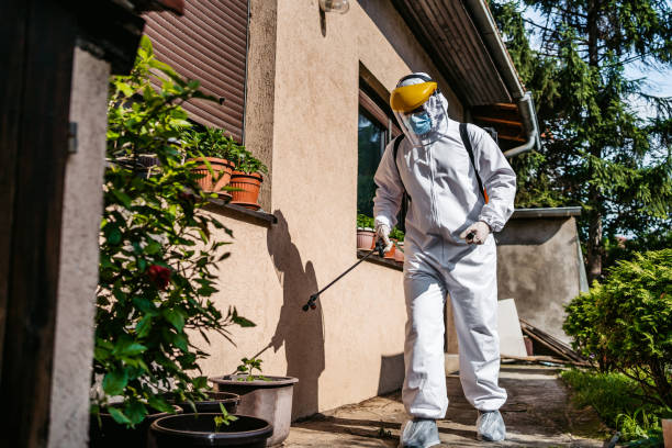 Best Affordable Pest Control Services  in Nahunta, GA