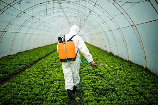 Best Ant Control Services  in Nahunta, GA