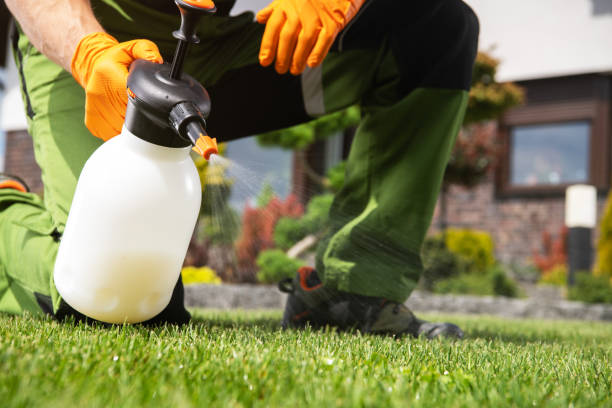 Best Affordable Pest Control Services  in Nahunta, GA