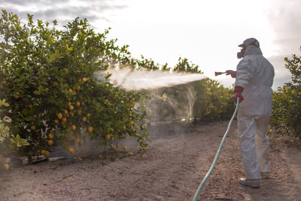 Best Insect Control  in Nahunta, GA