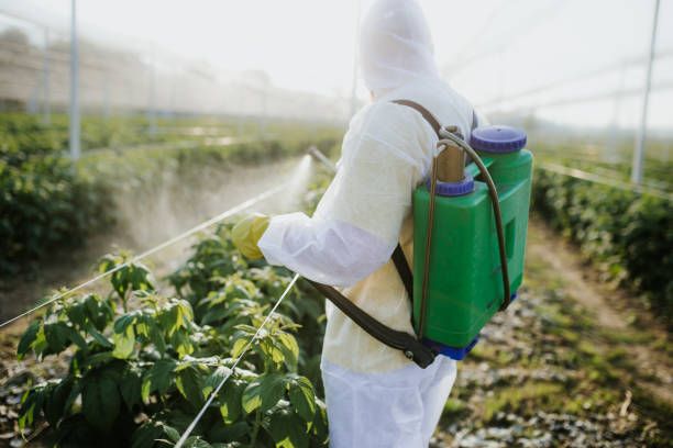 Insect Control in Nahunta, GA